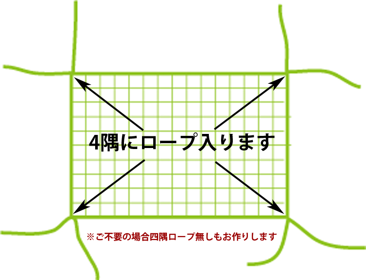 ロープ参考画像